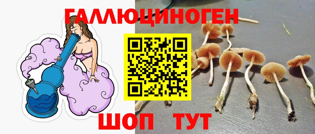 Псилоцибиновые грибы ЛСД  Вход с VPN  Галлюциногенные грибы Magic Shrooms  Великий Новгород 
