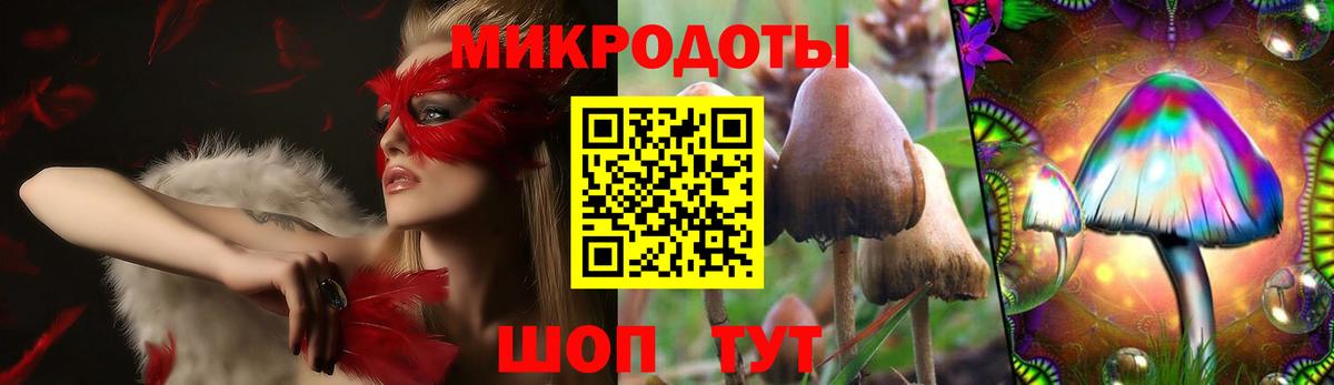 Галлюциногенные грибы Cubensis Великий Новгород